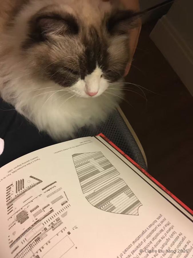 Dominic, a fluffy brown and white cat, with his eyes closed beside an open book