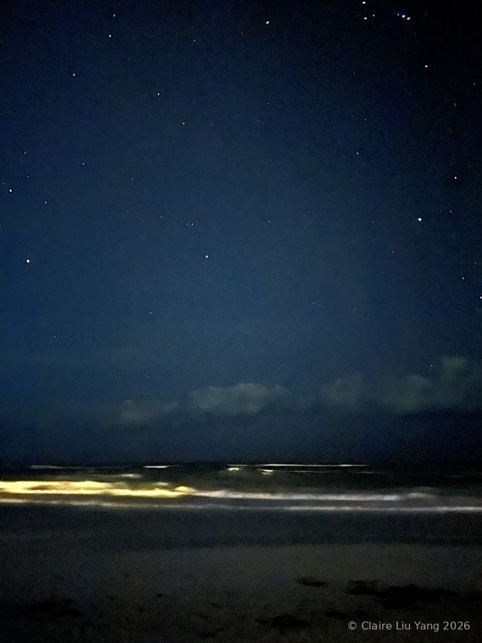 Night beach under stars, a line of glowing surf